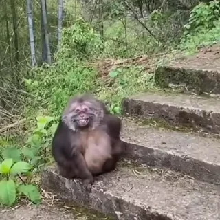 🤩