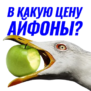 📱