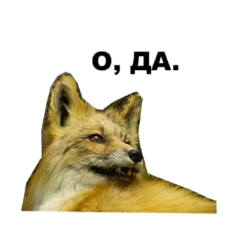 🤟