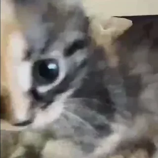 🤨