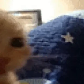 🤨