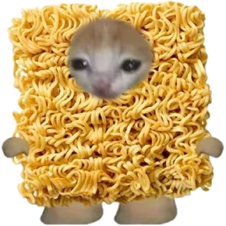 🐈