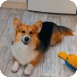 👍