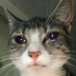 😭