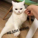 🤬