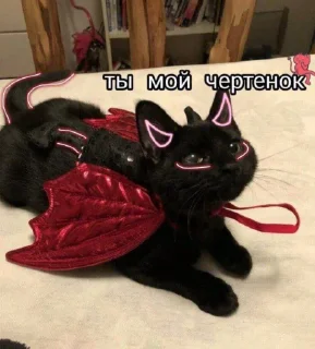 😈