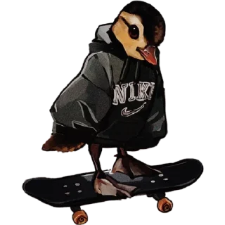🛹