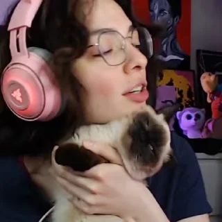 😸