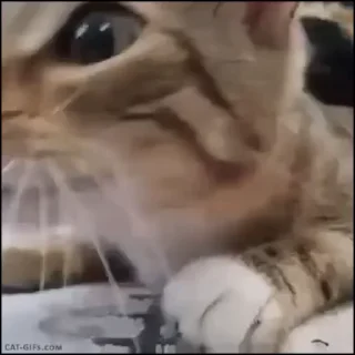 😮