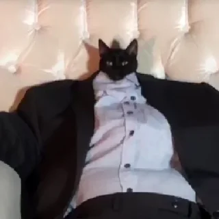 😏