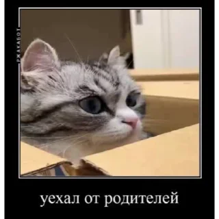 📦