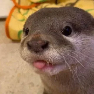 😛