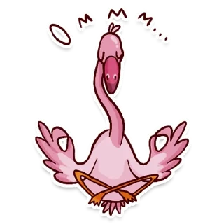 🦩