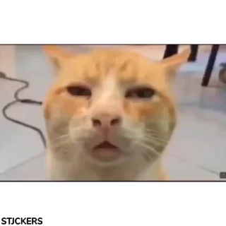 😕