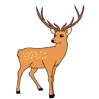 🦌