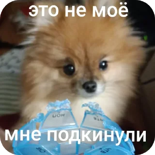 ✋