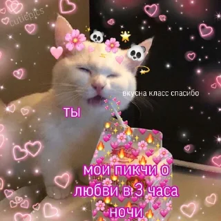 ✨