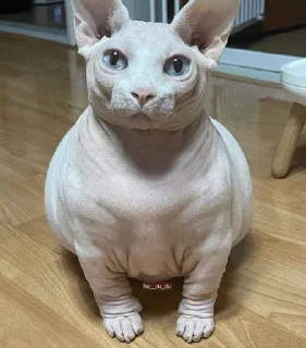 🤨