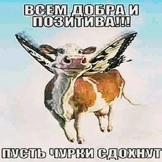 🐮