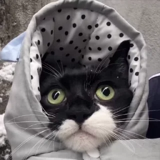 😜