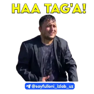 🎤