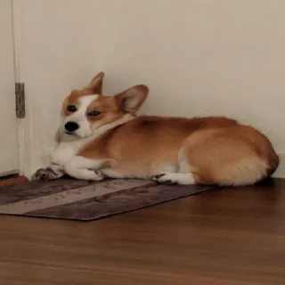 😱