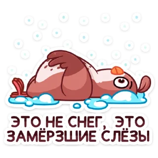 ❄️
