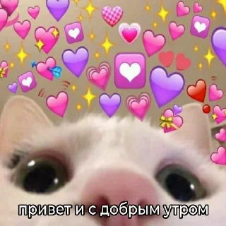 😍