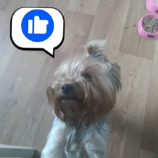 👍