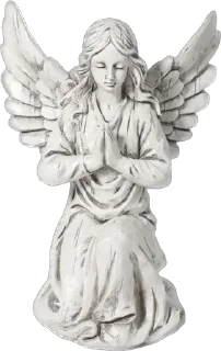 🕊️