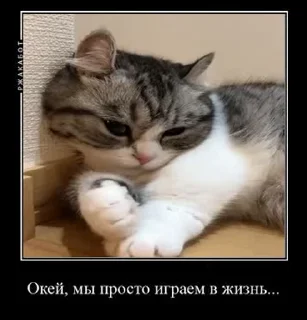 😢