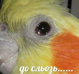 😥