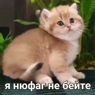 👶