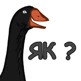 ❓