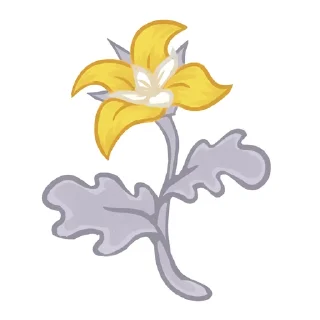 🌼