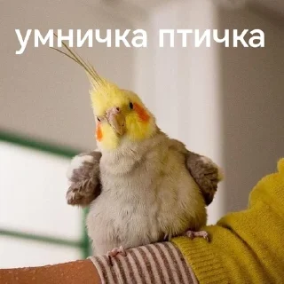 🤗