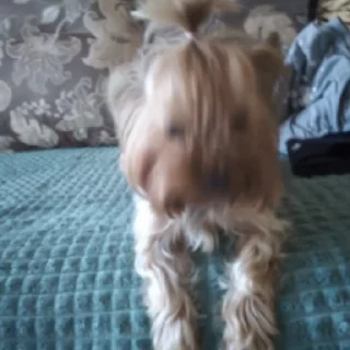 😄