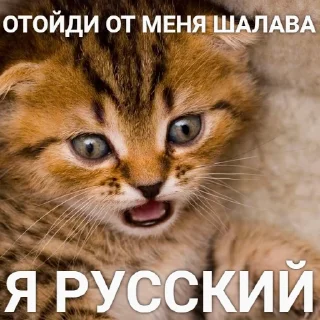 😡