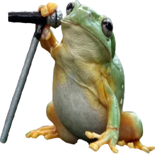 🎤