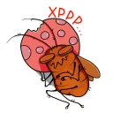 💤