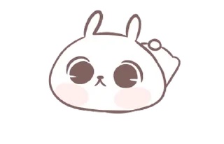 🐼