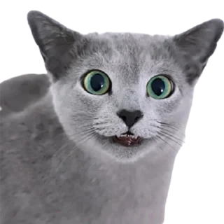 😬