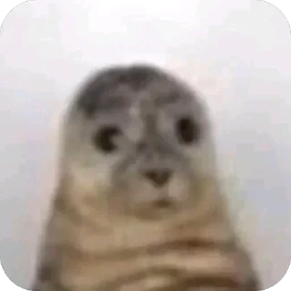 ❤
