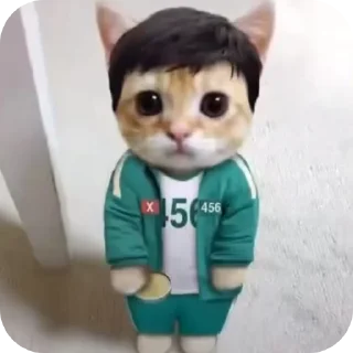 🐱
