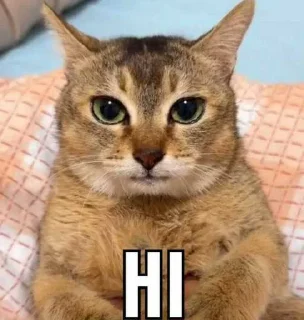 👋