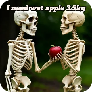 🧸