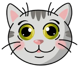 Котики