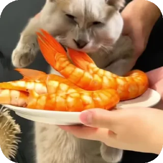 👍
