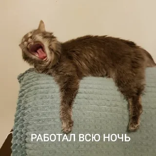 🤯