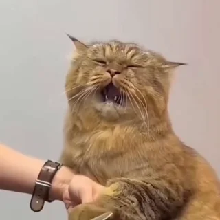 😵